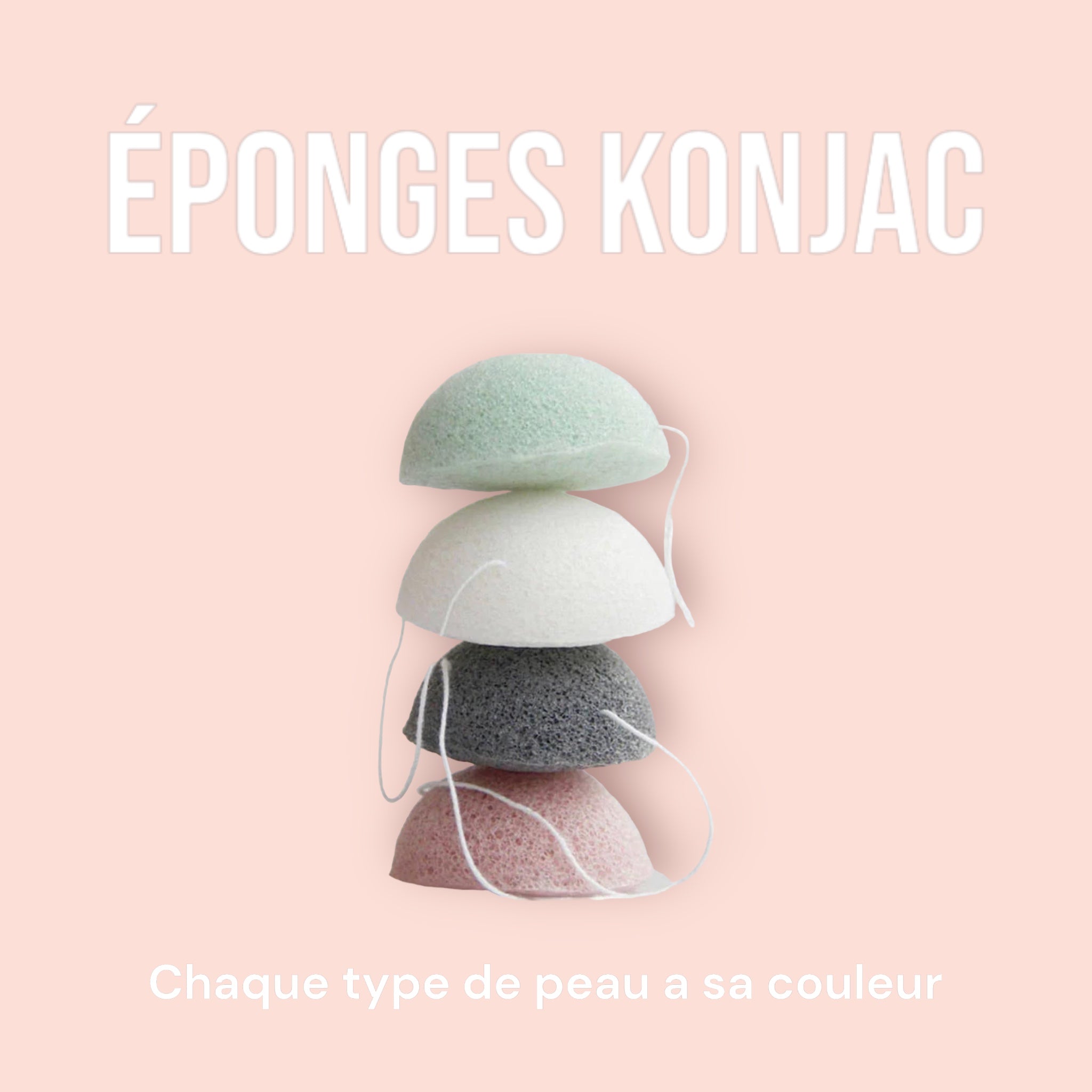 L'Eponge Konjac, konjac sponge - Absolution